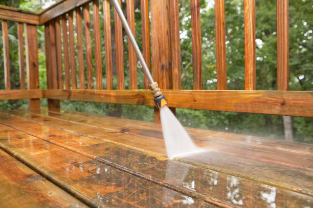 Best House Pressure Washing  in El Paso, IL